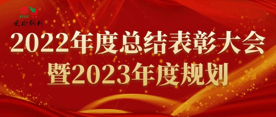 2022年度總結(jié)表彰大會(huì)暨2023年度規(guī)劃